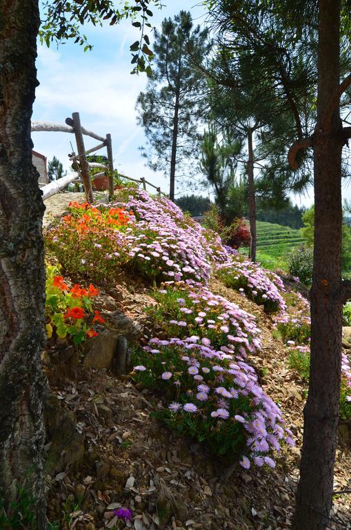 Villa De Paco Sever do Vouga Exteriér fotografie